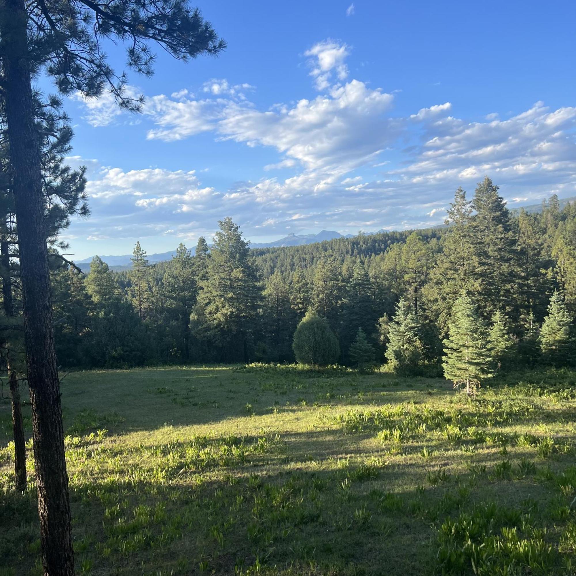 Black Bear Pagosa Springs Εξωτερικό φωτογραφία
